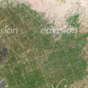 Sudan - Geometrische Linienraster in der Vegetation