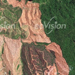 Dezimierung des natürlichen Regenwaldes in der malaysischen Provinz Sarawak