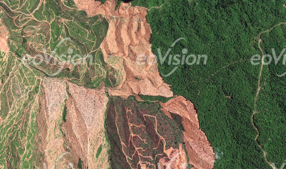 Dezimierung des natürlichen Regenwaldes in der malaysischen Provinz Sarawak