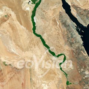 Nildelta
