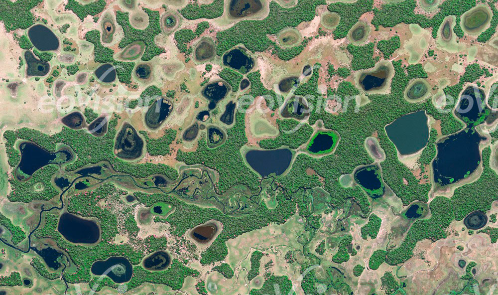 Pantanal do Rio Negro - eines der weltweit größten Feuchtgebiete