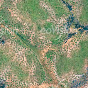 Kasungu - dichte Baumsavannen und offene Graslandschaften