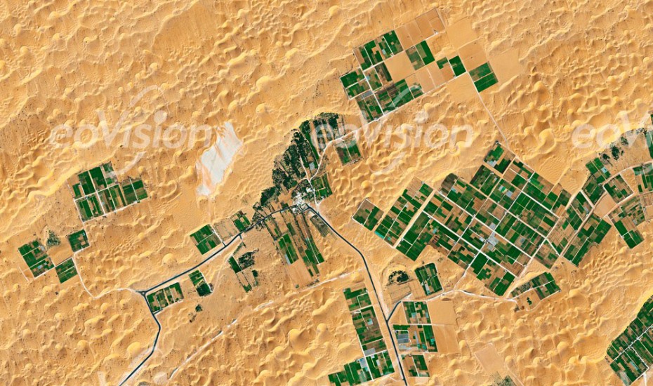 Desert Farming - Ackerbau in der Wüste