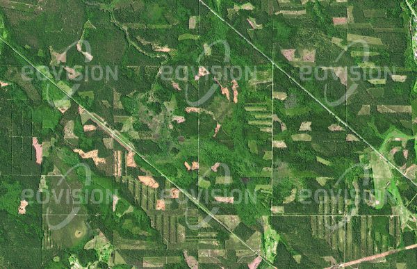 Das Satellitenbild "VECMUICA - Lettland" ist dem Bildband "EUROPA - Kontinent der Vielfalt" entnommen. Bildbeschreibung: Europa war noch vor wenigen Jahrhunderten ein weitgehend von Wäldern bedeckter Kontinent. Auch heute noch sind vor allem in Nordeuropa weite Flächen bewaldet, in Lettland etwa 45 Prozent der Landesfläche. Die Wälder sind hier auch ein wichtiger Wirtschaftsfaktor, fast ein Drittel des Bruttosozialprodukts wird mit Holz erwirtschaftet. Im Satellitenbild erscheinen industriell genutzte Wälder wie Mosaike, die aus Flächen mit einheitlichen Bäumen bestehen.