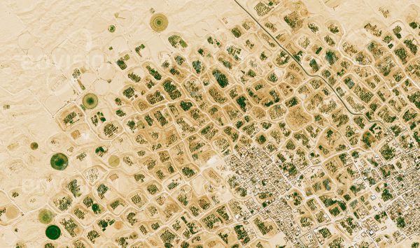 Das Satellitenbild "EL OUED - Algerien" ist dem Bildband "HUMAN FOOTPRINT - Satellitenbilder dokumentieren menschliches Handeln" entnommen. Bildbeschreibung: Die in Sandtrichtern wachsenden Dattelpalmen, die mit ihren langen Wurzeln das Grundwasser nutzen, müssen regelmäßig vom Sand befreit werden, den der ständig wehende Wind verfrachtet.