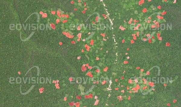 Das Satellitenbild "LINGOMO - Kongo - DRC" ist dem Bildband "HUMAN FOOTPRINT - Satellitenbilder dokumentieren menschliches Handeln" entnommen. Bildbeschreibung: Eingebettet in die tropisch-feuchten Urwälder liegen Straßendörfer, deren Bewohner das Gebiet der Kongo-Ebene rund um die Straße landwirtschaftlich nutzen. Neu errichtete Straßen sind der erste Schritt zur Entwaldung, da das ungenutzte Land Menschen anzieht, die immer neue Anbauflächen benötigen. Damit einher geht ein Verlust an zusammen-hängenden natürlichen Lebensräumen.