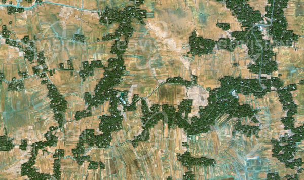 Das Satellitenbild "MORELLGANJ  - Bangladesch" ist dem Bildband "HUMAN FOOTPRINT - Satellitenbilder dokumentieren menschliches Handeln" entnommen. Bildbeschreibung: Zur Bewässerung der Reisfelder im Gangesdelta müssen immer tiefere Brunnen gebohrt werden, deren Wasser teilweise schwer mit Arsen belastet ist.