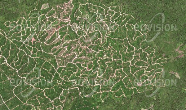 Das Satellitenbild "PEKAN SERIKIN - Malaysien" ist dem Bildband "HUMAN FOOTPRINT - Satellitenbilder dokumentieren menschliches Handeln" entnommen. Bildbeschreibung: Statt des einstigen Regenwaldes erstrecken sich im Nordwesten Borneos heute weitläufige Ölpalmenplantagen, die mithilfe eines dichten Straßennetzes bewirtschaftet werden.