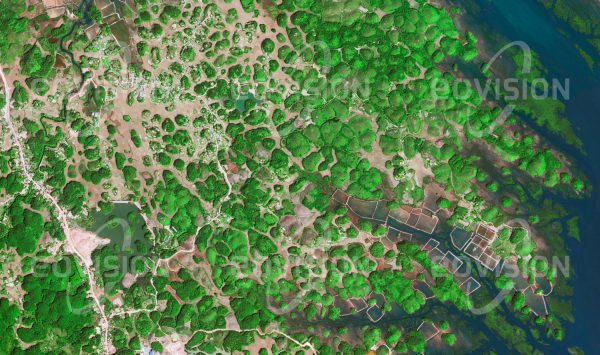 Das Satellitenbild "CỘNG HOÀ - Vietnam" ist dem Bildband "WASSER - Entdeckung des Blauen Planeten" entnommen. Bildbeschreibung: Die Karstkegel an der Küste der Halong-Bucht in Vietnam bilden eine pittoreske Landschaft. Etwa 2000 Kalkfelsen, die bei der Verwitterung des Gesteins durch kohlesäurehaltiges Wasser entstanden sind, ragen oft mehrere Hundert Meter in den Himmel oder als Inseln vor der Küste aus dem Meer. Die Inseln mit ihren Grotten und Tropfsteinhöhlen gehören zum UNESCO-Welterbe und sind eine Touristen-attraktion ersten Ranges.