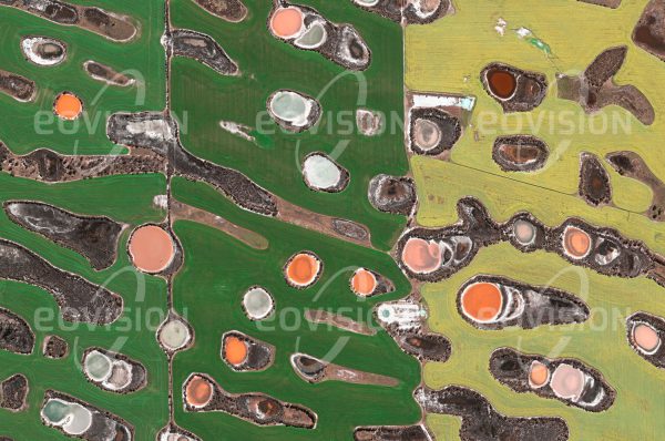 Das Satellitenbild "SCADDAN - Australien" ist dem Bildband "NEW HUMAN FOOTPRINT - Unsere Welt im Umbruch" entnommen. Bildbeschreibung: Der Südwesten Australiens hat mit 24 Milli­onen Hektar Ackerfläche einen bedeutenden Anteil an der Landwirtschaft des Landes. Seit der Besiedelung im 19. Jahrhundert wurden immer mehr der ursprünglichen Eukalyp­tuswälder durch Ackerflächen verdrängt. Die geänderte Vegetation hat einen starken Einfluss auf den Salzhaushalt des Bodens. Gefördert durch Bewässerung, gelangt gelöstes Salz näher an die Oberfläche und beeinträchtigt die Fruchtbarkeit des Bodens. Die Bodenversalzung, von der schon mehr als 1 Million Hektar Ackerland betroffen ist, ist ein großes Problem für die Region.