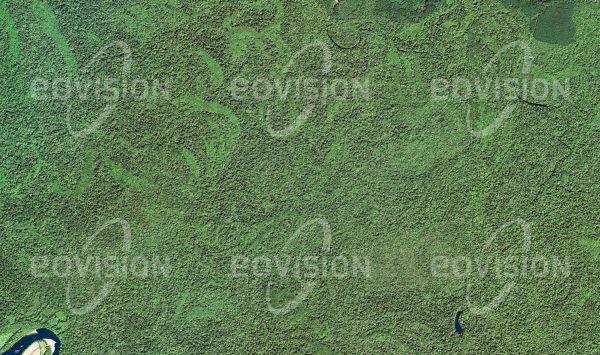 Das Satellitenbild "CONGAREE - USA" ist dem Bildband "UNTOUCHED NATURE - Naturlandschaften in Satellitenbildern" entnommen. Bildbeschreibung: Umgeben vom Siedlungsraum South Carolinas beherbergt der Congaree Nationalpark den letzten größeren Hartholzwald der USA. Neben einem der höchsten natürlichen Kronendächer der Erde findet man hier auch Alligatoren.