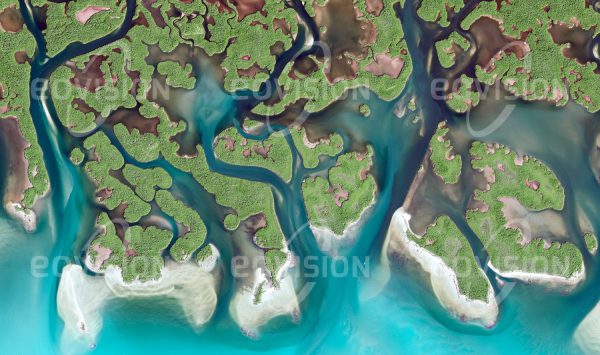 Das Satellitenbild "EVERGLADES - USA" ist dem Bildband "UNTOUCHED NATURE - Naturlandschaften in Satellitenbildern" entnommen. Bildbeschreibung: Die flachen Sümpfe der Everglades in Florida sind vor allem von Grasflächen bedeckt, an die sich an der Küste zum Golf von Mexiko Mangrovenwälder anschließen. Die Mangroven bilden während der  häufig auftretenden Hurrikane einen Schutzgürtel gegen die Erosionskräfte des Meeres. Diese Küstenregion in Florida ist zudem das einzige Gebiet, in dem sowohl Alligatoren als auch Krokodile zu finden sind.