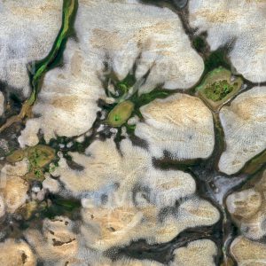 Das Satellitenbild "SERRA DE SOL - Brasilien" ist dem Bildband "UNTOUCHED NATURE - Naturlandschaften in Satellitenbildern" entnommen. Bildbeschreibung: Im Norden Brasiliens ist nährstoffarmer Boden die Ursache für eine Savannenlandschaft, so genannte Cerrados. Diese Ökoregion steht unter dem Druck der sich ausbreitenden Landwirtschaft.