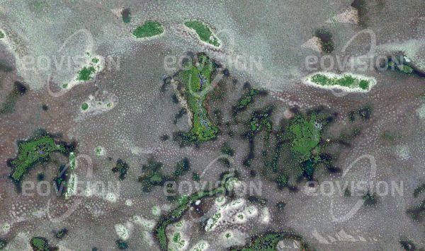 Das Satellitenbild "RIO CURIXÃO - Brasilien" ist dem Bildband "UNTOUCHED NATURE - Naturlandschaften in Satellitenbildern" entnommen. Bildbeschreibung: Die Sumpflandschaft am Ostrand des Mato Grosso in Brasilien beheimatet viele Vogelarten, darunter Aras und Tukane. Gefährdet ist die Natur hier durch zunehmende landwirtschaftliche Erschließung.