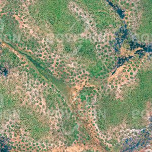 Das Satellitenbild "KASUNGU - Malawi" ist dem Bildband "UNTOUCHED NATURE - Naturlandschaften in Satellitenbildern" entnommen. Bildbeschreibung: Die Mischung aus dichter Baumsavanne mit offenen Graslandschaften entlang der Flüsse des Nationalparks stellt für die afrikanische Tierwelt mit Elefanten und Löwen einen idealen Lebensraum dar.