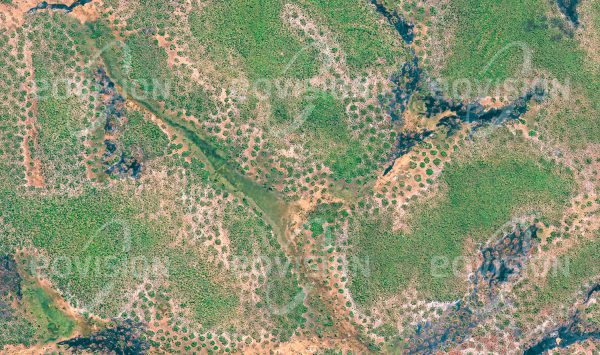 Das Satellitenbild "KASUNGU - Malawi" ist dem Bildband "UNTOUCHED NATURE - Naturlandschaften in Satellitenbildern" entnommen. Bildbeschreibung: Die Mischung aus dichter Baumsavanne mit offenen Graslandschaften entlang der Flüsse des Nationalparks stellt für die afrikanische Tierwelt mit Elefanten und Löwen einen idealen Lebensraum dar.