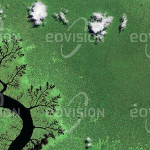 Das Satellitenbild "SOENGAI LINOEANGKAJAN - Indonesien" ist dem Bildband "UNTOUCHED NATURE - Naturlandschaften in Satellitenbildern" entnommen. Bildbeschreibung: An den dichten Mangrovenwald am Ufer des Soengai Linoeangkajan nahe der Ostküste Kalimantans schließt sich undurchdringlicher Regenwald an. In dieser tropischen Umgebung sind Orang-Utans beheimatet, die unter der zunehmenden Nutzung des Gebiets leiden. Schlägerung der Tropenhölzer sowie das Einrichten von Minen und Palmölplantagen schränken ihren natürlichen Lebensraum immer stärker ein.