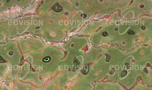 Das Satellitenbild "PORMPURAAW - Australien" ist dem Bildband "UNTOUCHED NATURE - Naturlandschaften in Satellitenbildern" entnommen. Bildbeschreibung: Unfruchtbarer Boden macht weite Teile von Cape York für Landwirtschaft ungeeignet. Eukalyptuswälder und Grassavanne beherbergen zahlreiche Tierarten, von denen 40 nur hier vorkommen.