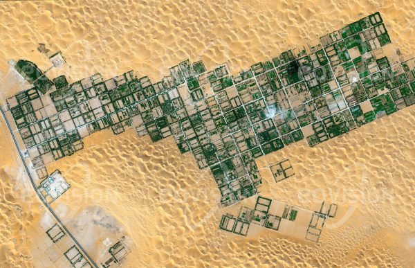 Das Satellitenbild "LIWA - Vereinigte Arabische Emirate" ist dem Bildband "WÜSTEN - Lebensraum der Extreme" entnommen. Bildbeschreibung: Die aus etwa 50 Dörfern bestehende Oase Liwa zieht sich als mehr als 100 Kilometer langer Bogen unweit der Grenze zu Saudi-Arabien am Nordrand der Rub al-Khali hin. Die Oase liegt über einem leicht erreichbaren und ergiebigen Grundwasserkörper. Ein wichtiges Anbauprodukt sind Datteln. Traditionellerweise arbeiteten viele Männer der Oase im Sommer als Perlentaucher am Persischen Golf, ein Wirtschaftszweig, der längst vom Tourismus abgelöst wurde.