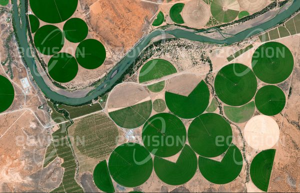 Das Satellitenbild "PRIESKA - Südafrika" ist dem Bildband "WÜSTEN - Lebensraum der Extreme" entnommen. Bildbeschreibung: Der Oranje stellt für das Zentrum Südafrikas eine wesentliche Wasserquelle dar, die es ermöglicht, in der ansonsten sehr trockenen Umgebung intensive Landwirtschaft zu betreiben. Wie grüne Blasen folgen die Kreisbewässerungsfelder weiten Strecken des Flusses. In dieser Region spielt neben der Landwirtschaft auch Bergbau eine wichtige Rolle.